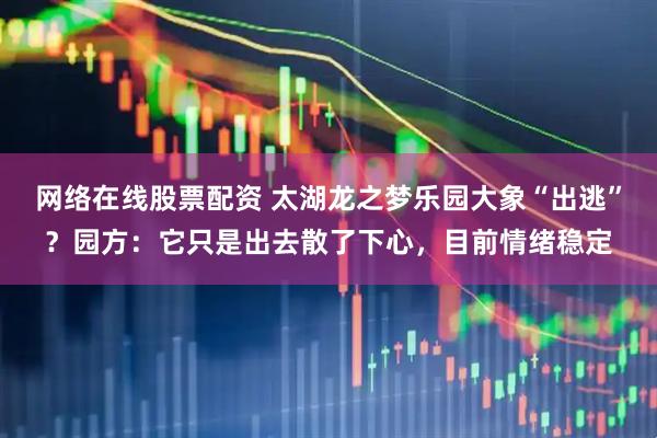 网络在线股票配资 太湖龙之梦乐园大象“出逃”？园方：它只是出去散了下心，目前情绪稳定