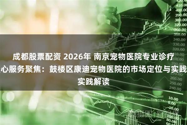 成都股票配资 2026年 南京宠物医院专业诊疗与暖心服务聚焦：鼓楼区康迪宠物医院的市场定位与实践解读